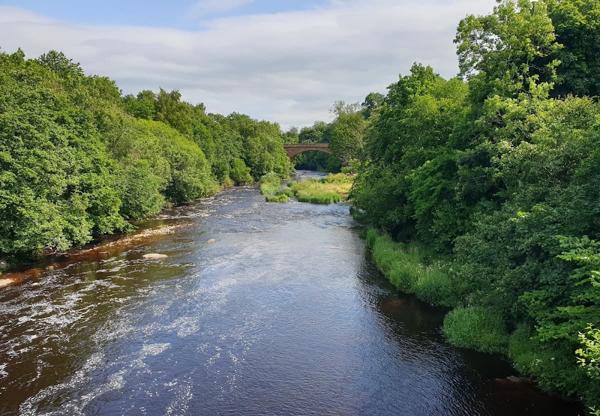 Chatelherault Country Park - Image 4