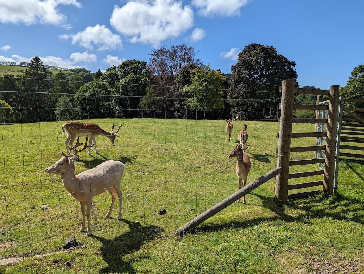 Clyde Valley Family Park - Image 5