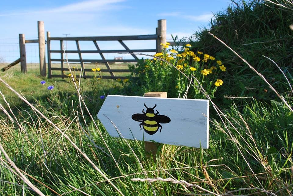 Dr Beynon's Bug Farm - Image 5