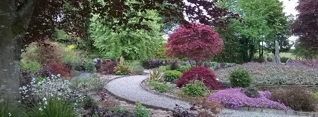 Cae Hir Gardens - Image 3