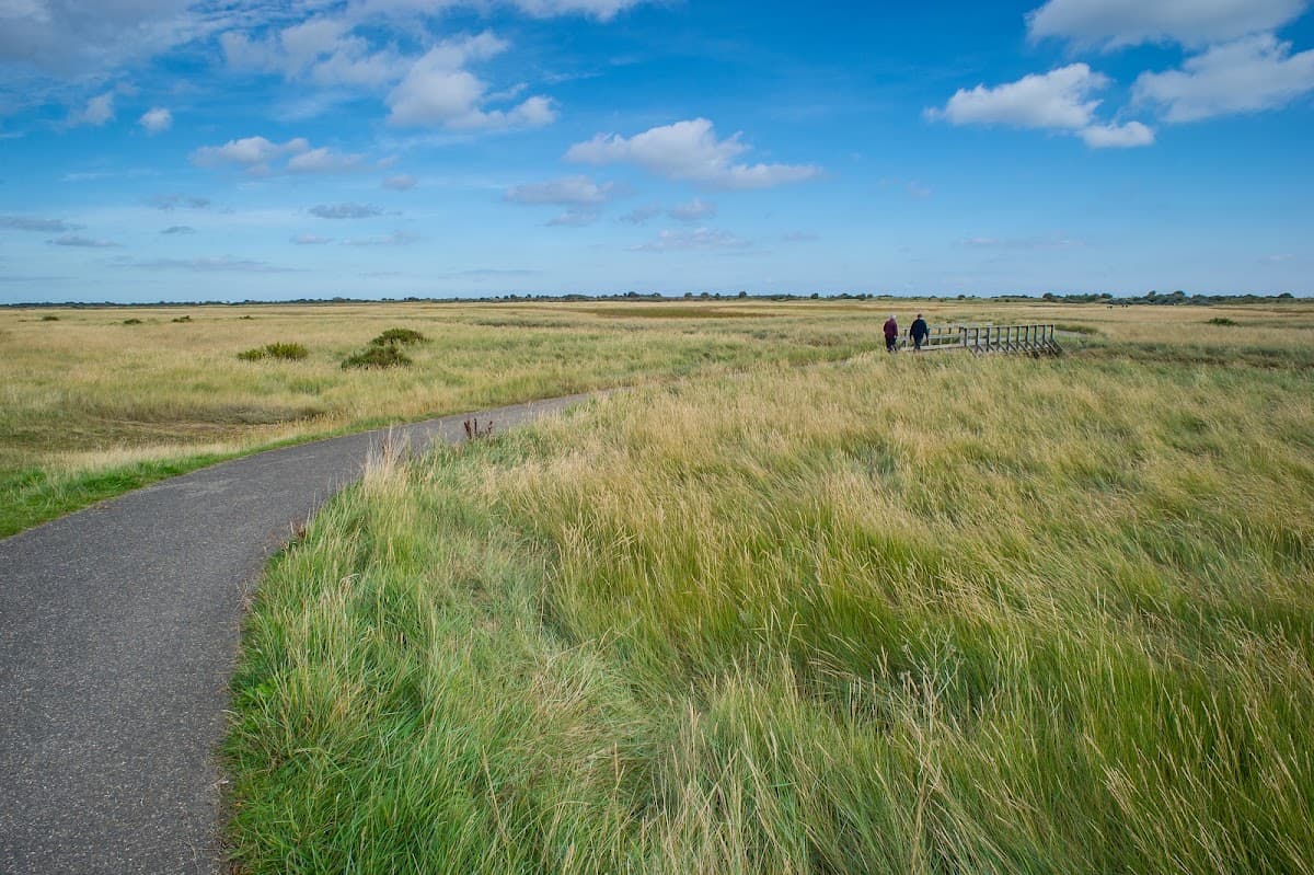 Gibraltar Point National Nature Reserve - Image 4
