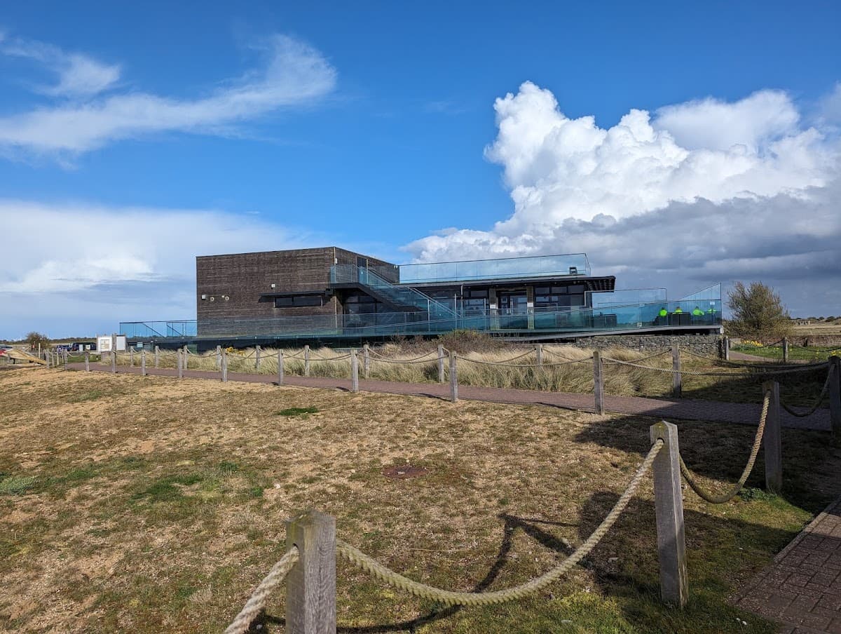 Gibraltar Point National Nature Reserve - Image 5