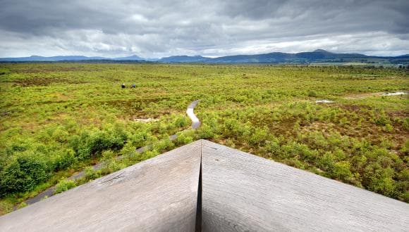 Flanders Moss National Nature Reserve - Main view
