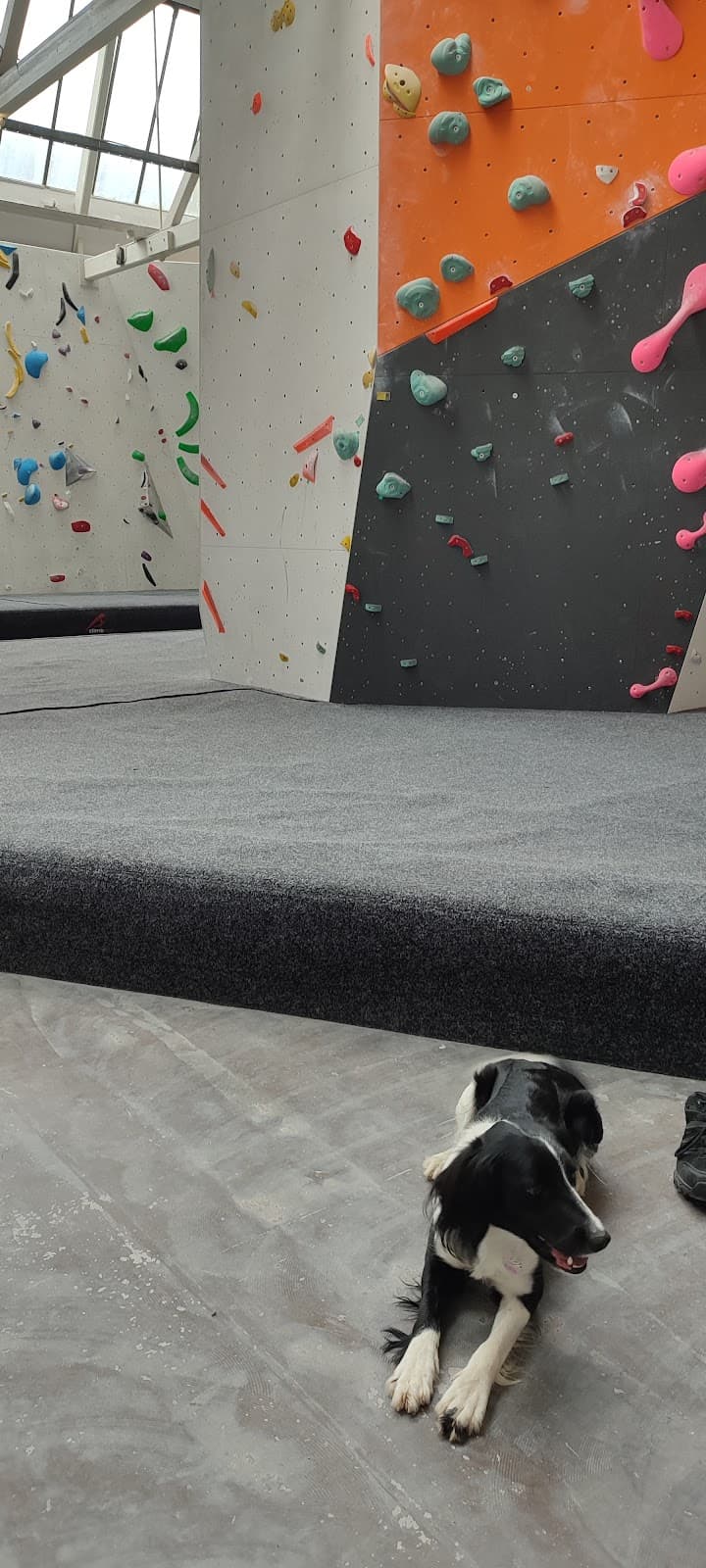 Bloc10 Bouldering - Image 3