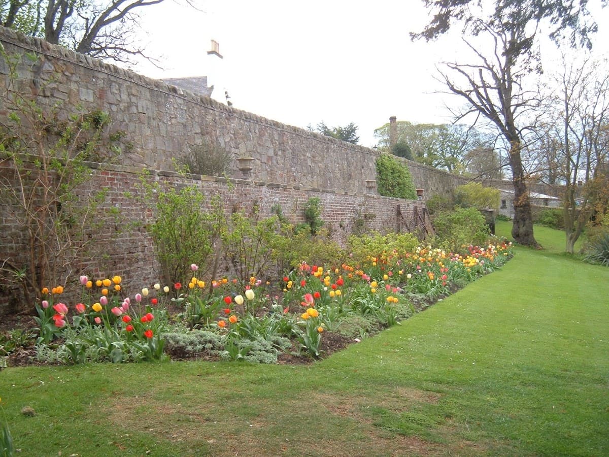 Inveresk Lodge Garden (National Trust for Scotland) - Main view