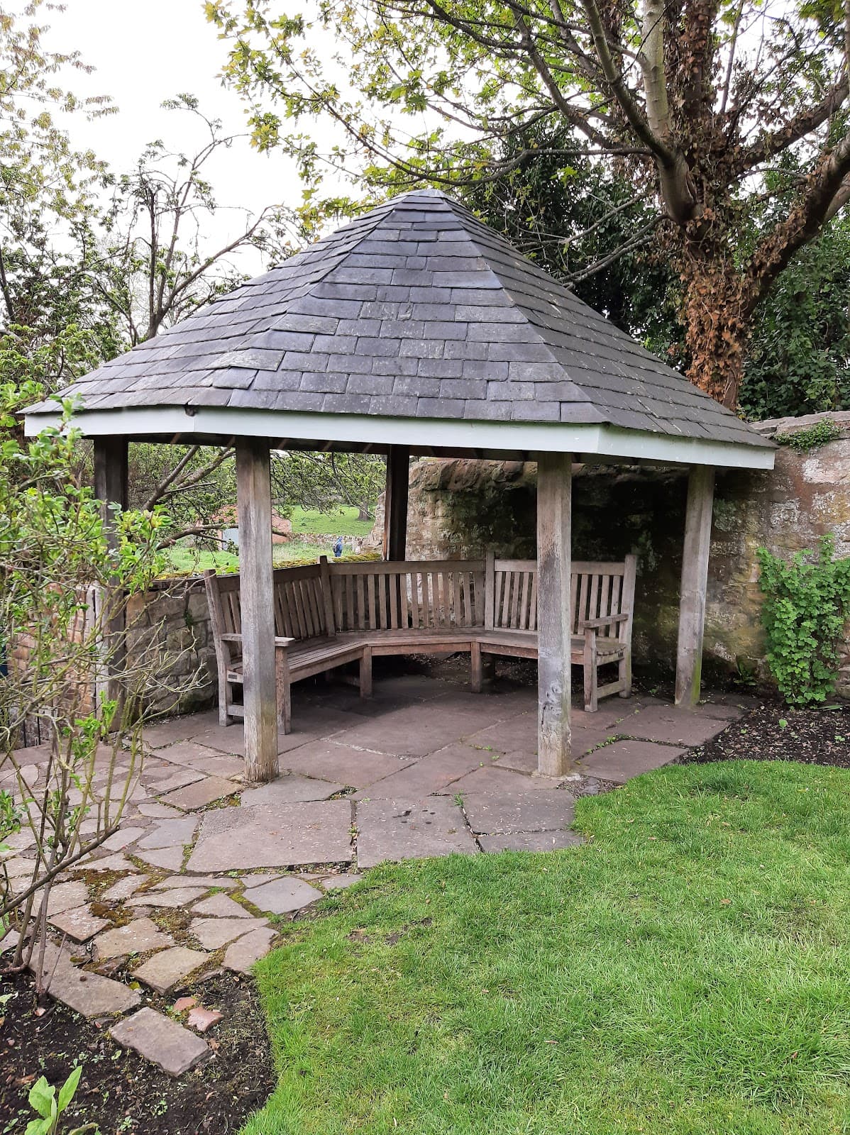 Inveresk Lodge Garden (National Trust for Scotland) - Image 5