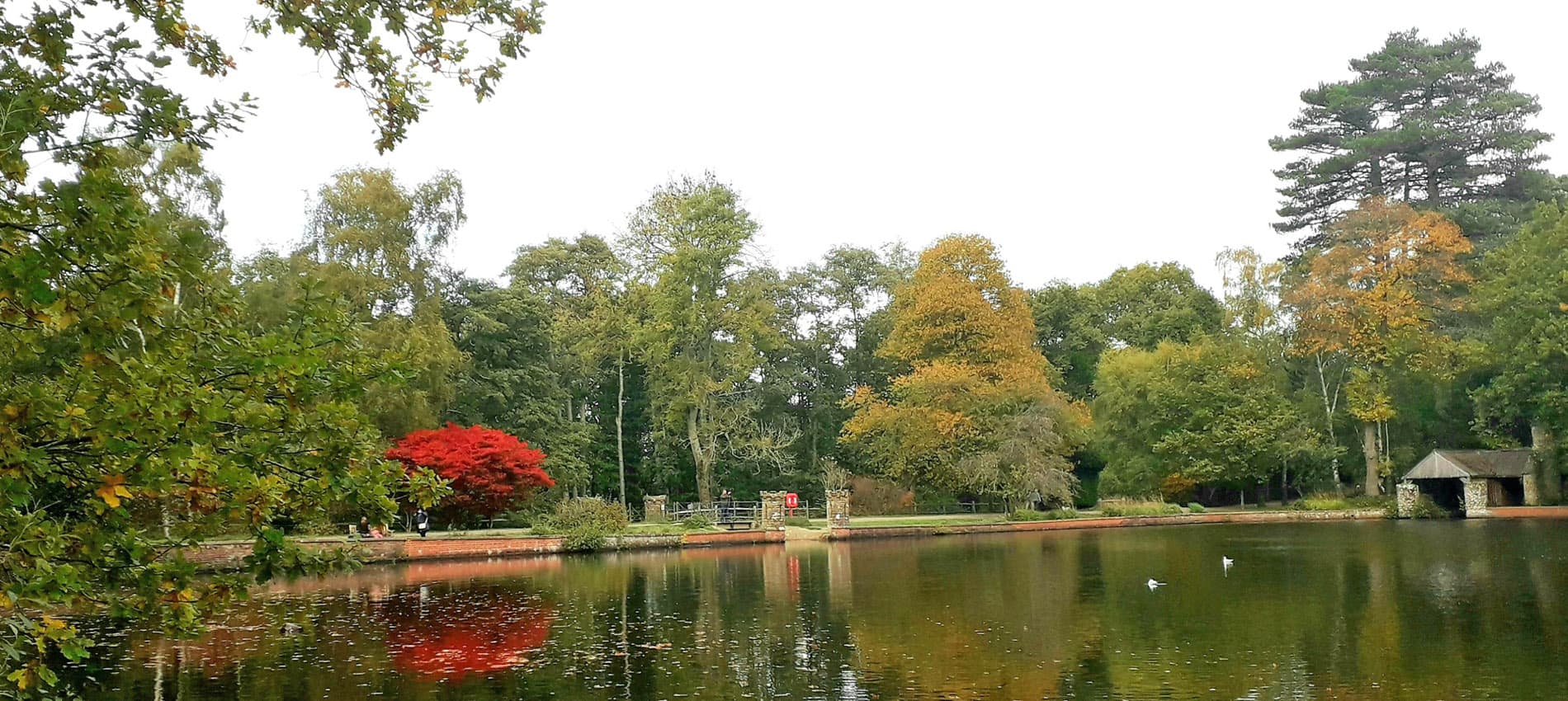 Buchan Country Park - Main view