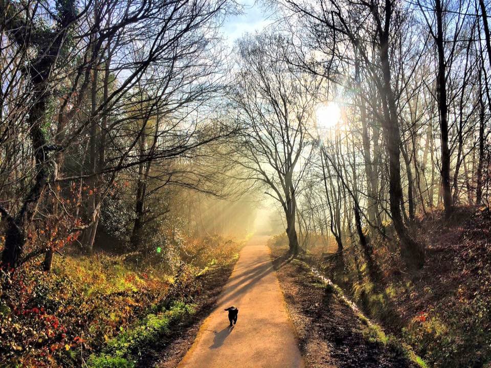 Buchan Country Park - Image 2