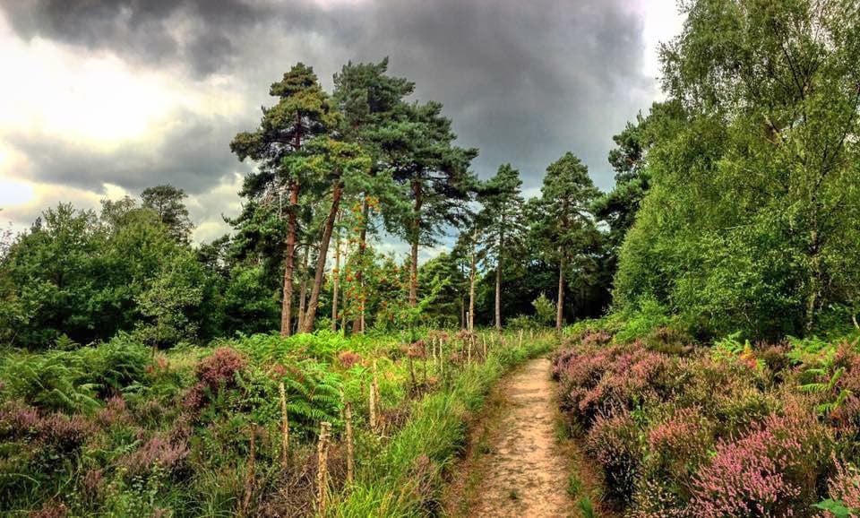Buchan Country Park - Image 4