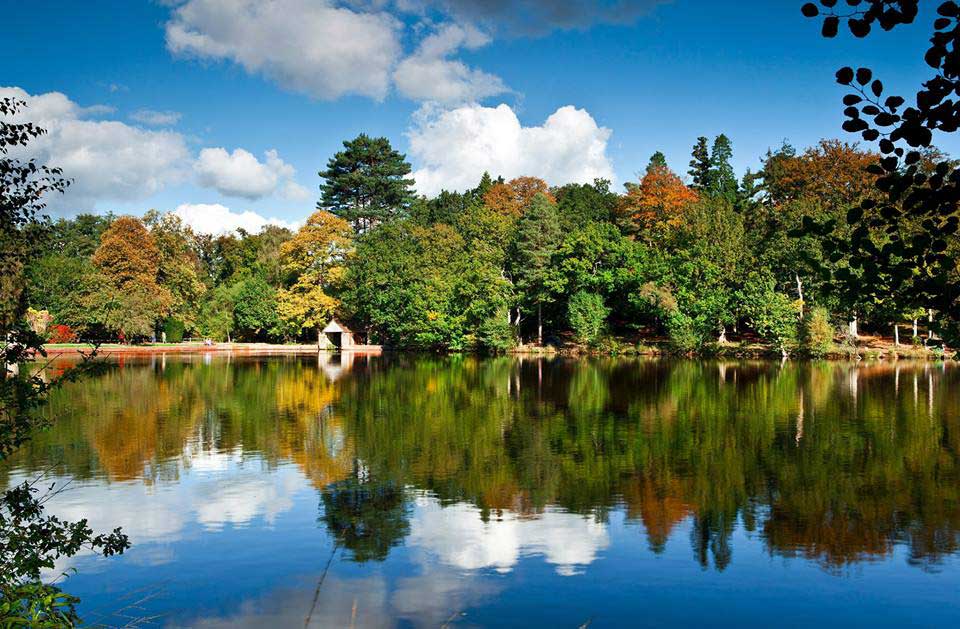Buchan Country Park - Image 5