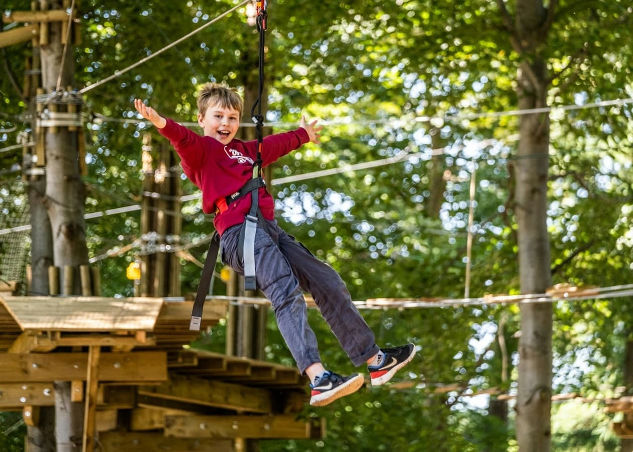 Go Ape Dalkeith - Main view