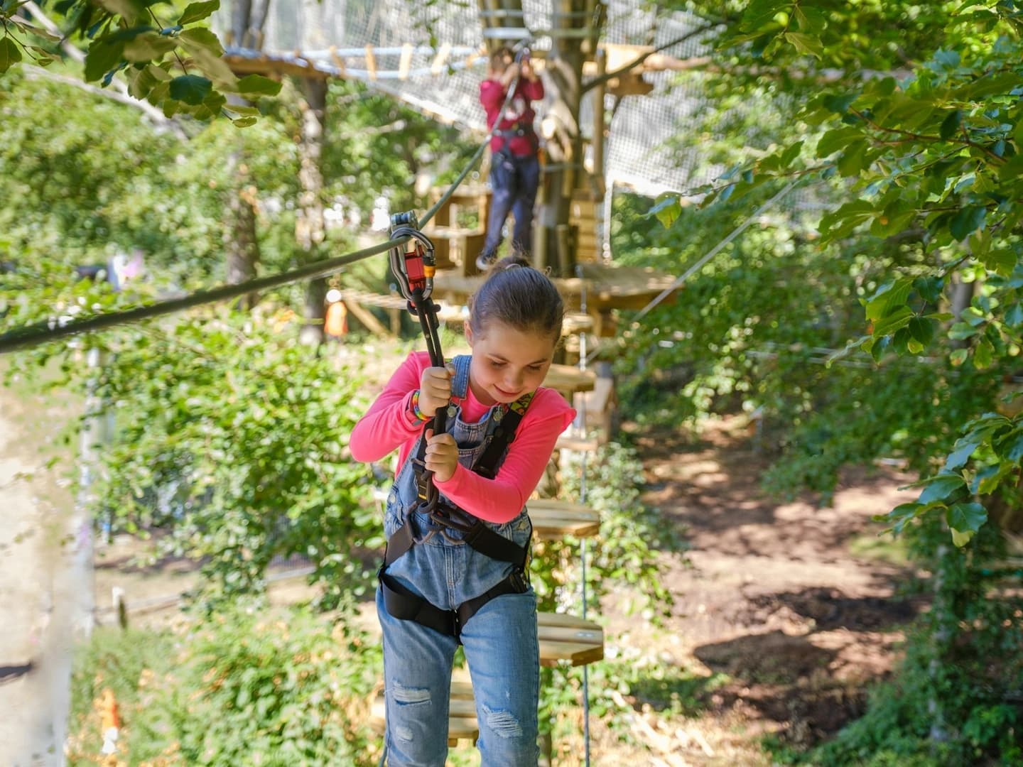 Go Ape Dalkeith - Image 3
