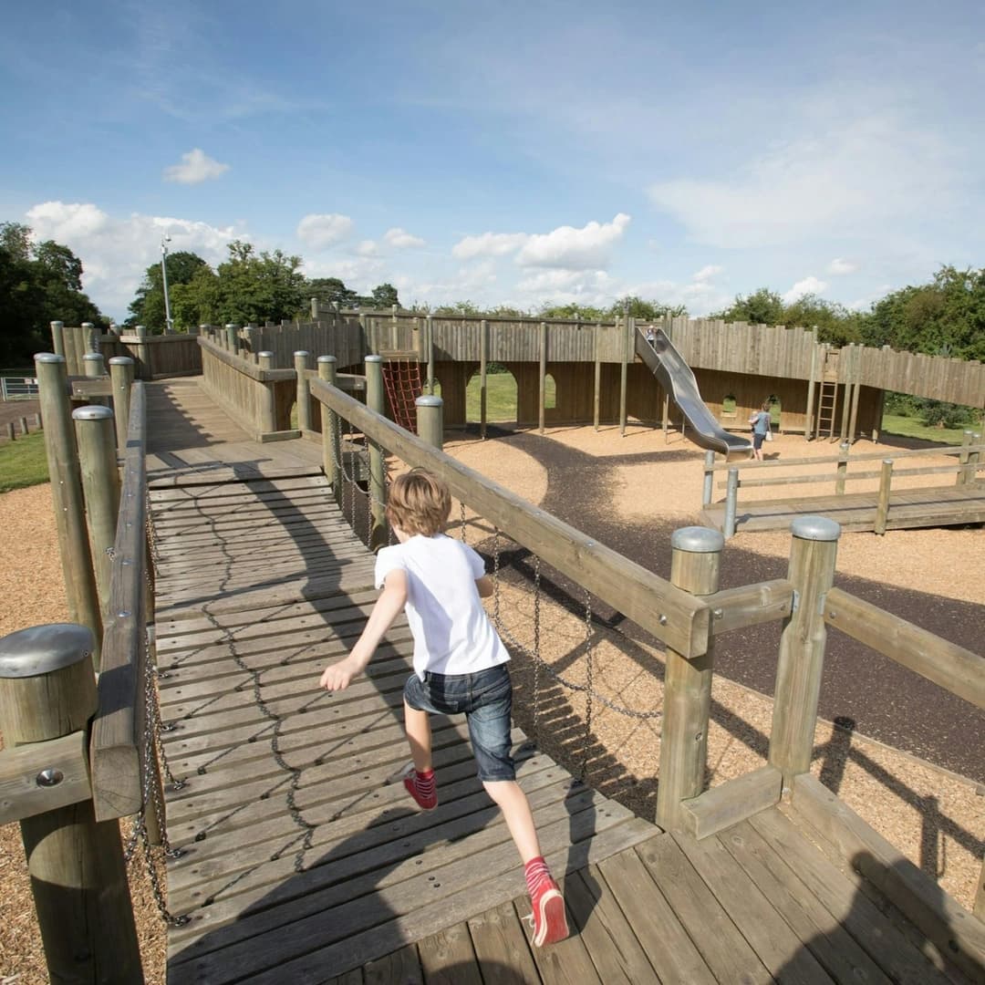 Go Ape Dalkeith - Image 5