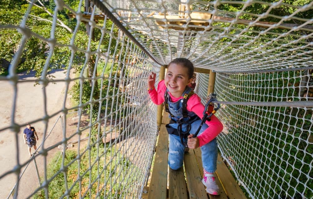 Go Ape Dalkeith - Image 2