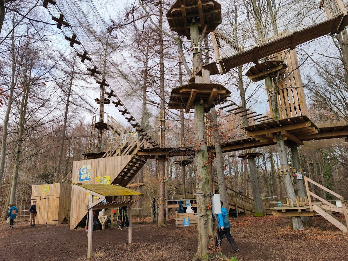 Go Ape Dalkeith - Image 4