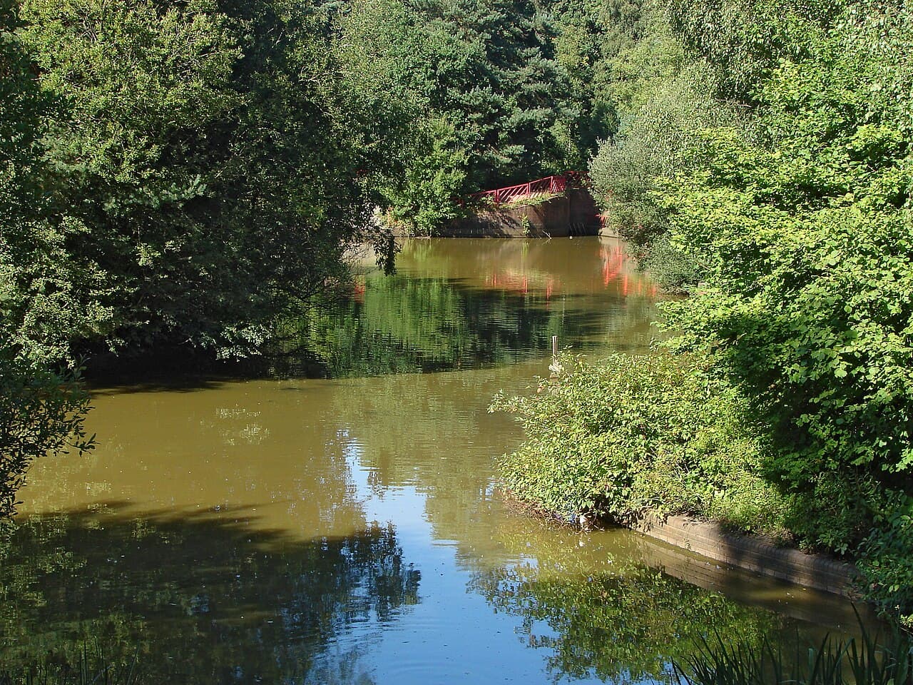 Savernake Park - Main view