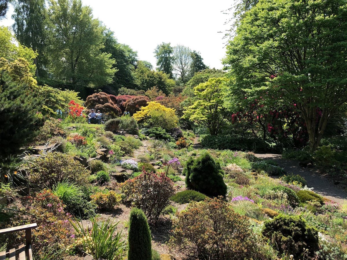 Branklyn Garden (National Trust for Scotland) - Image 2