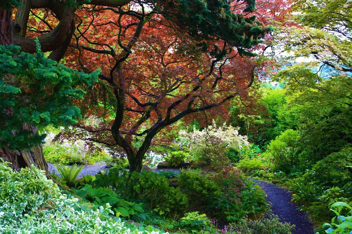 Branklyn Garden (National Trust for Scotland) - Image 3