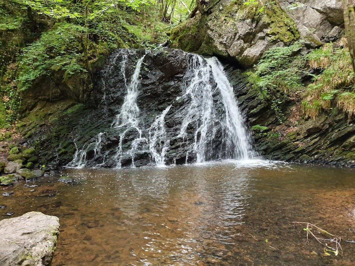 Black Water Falls - Image 4