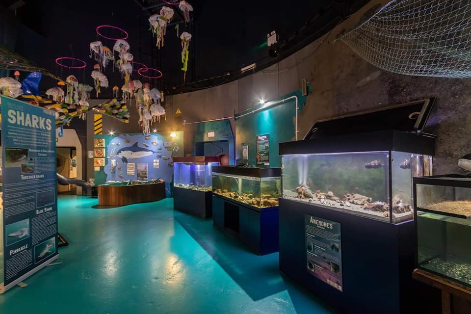 Ocean Lab - Sea Trust Wales - Image 4