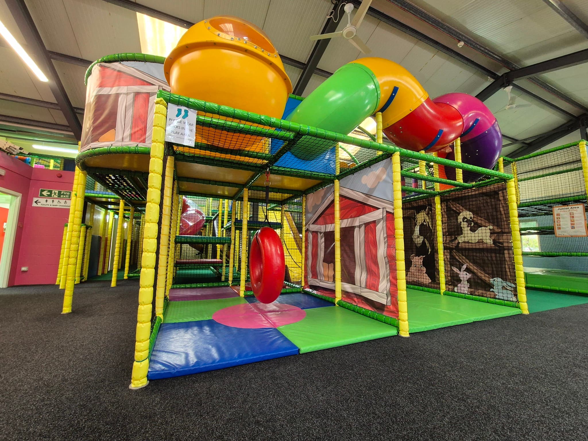 Dalscone Farm Fun - Image 5