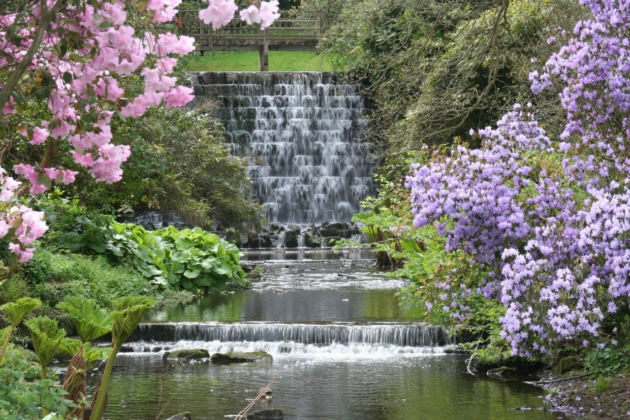 Harewood House Trust - Image 5