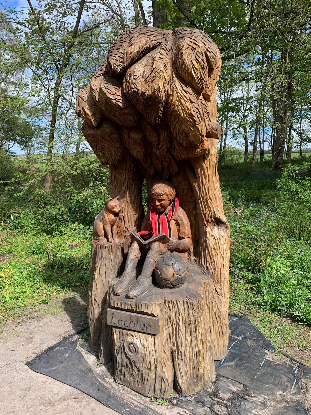 Fullarton Fairy Trail - Main view