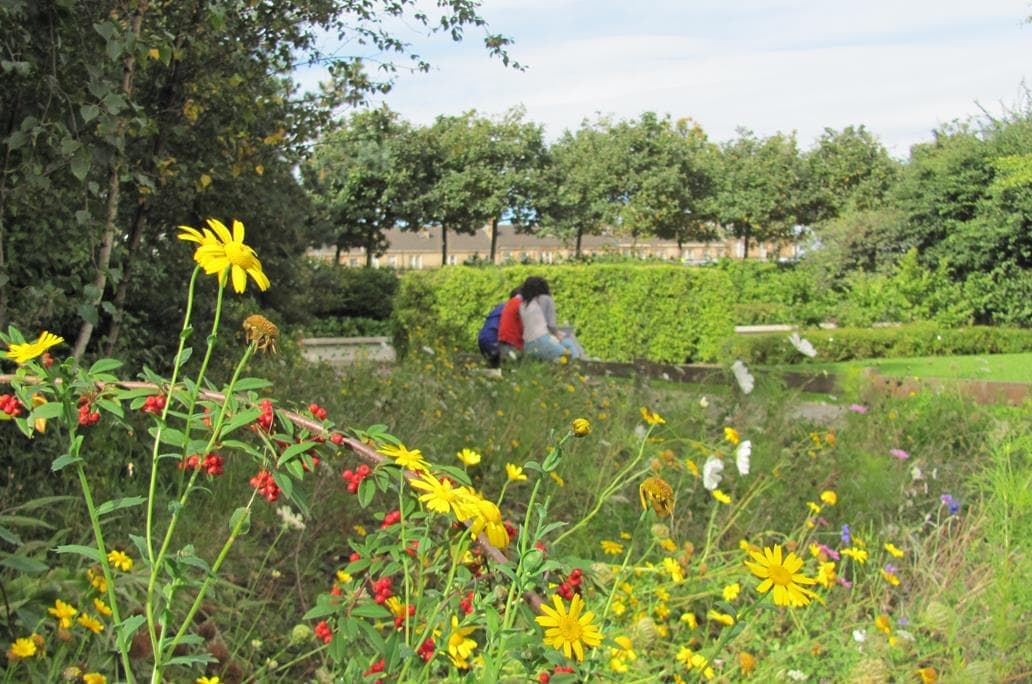 The Hidden Gardens - Image 1