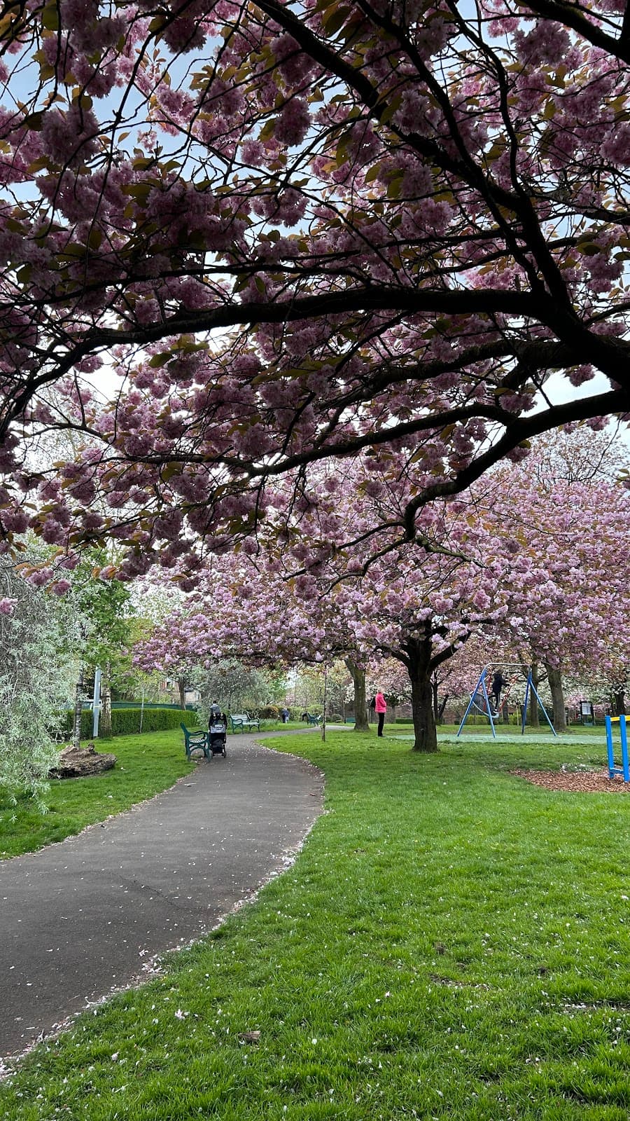 Naseby Park - Image 1