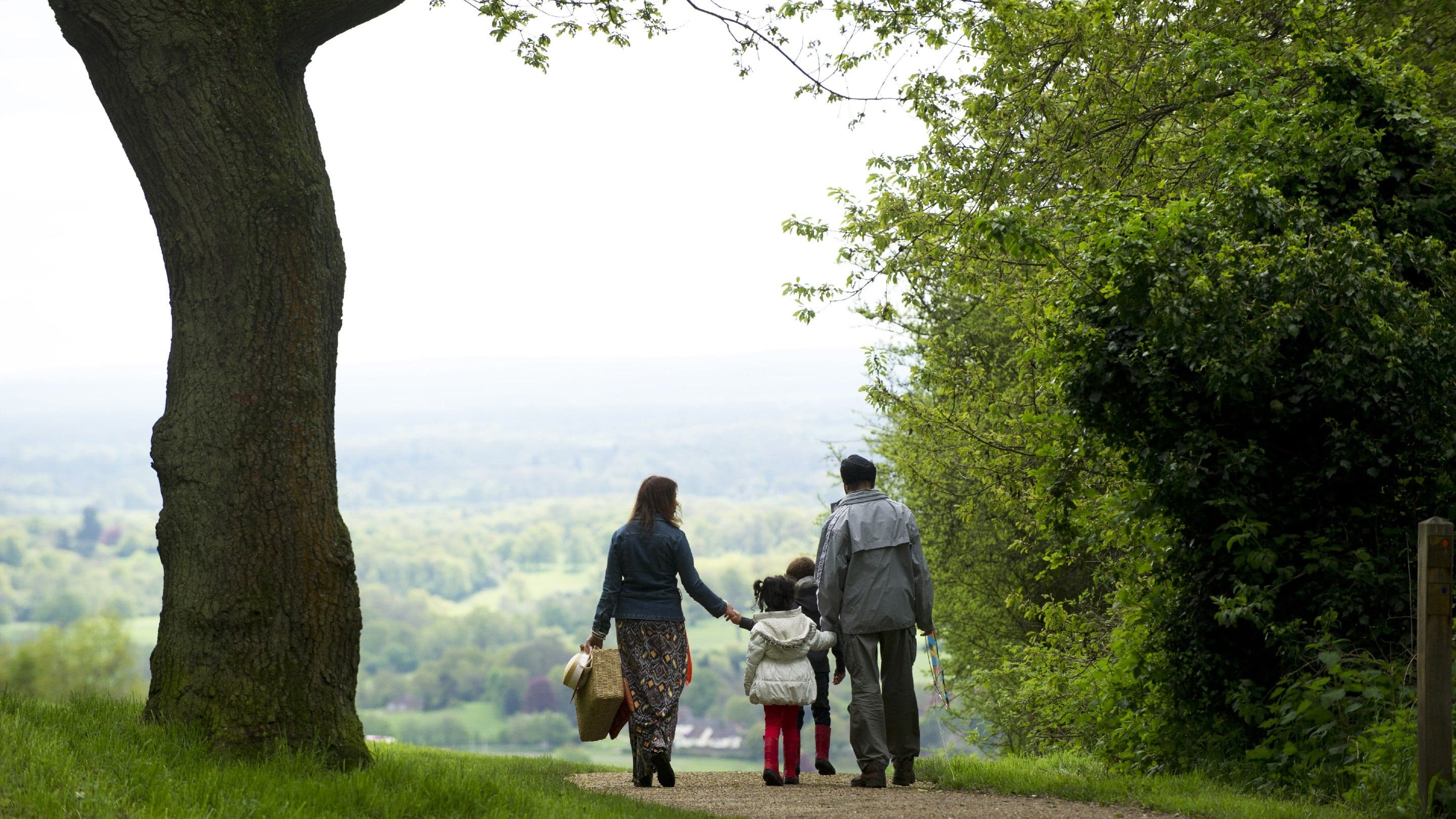 Boxhill Viewpoint - Main view