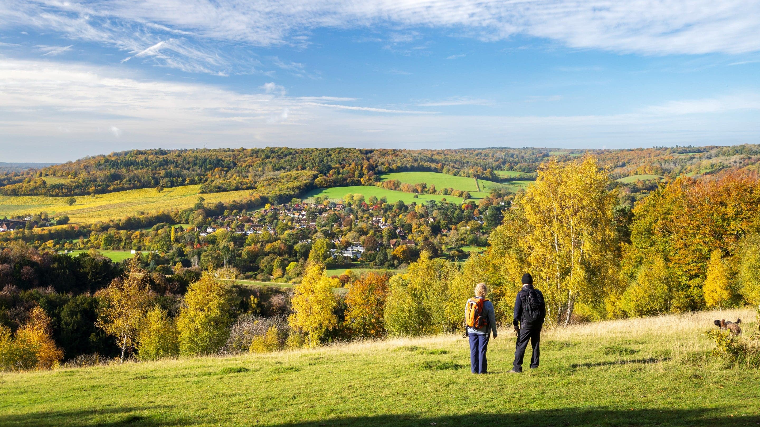 Boxhill Viewpoint - Image 4