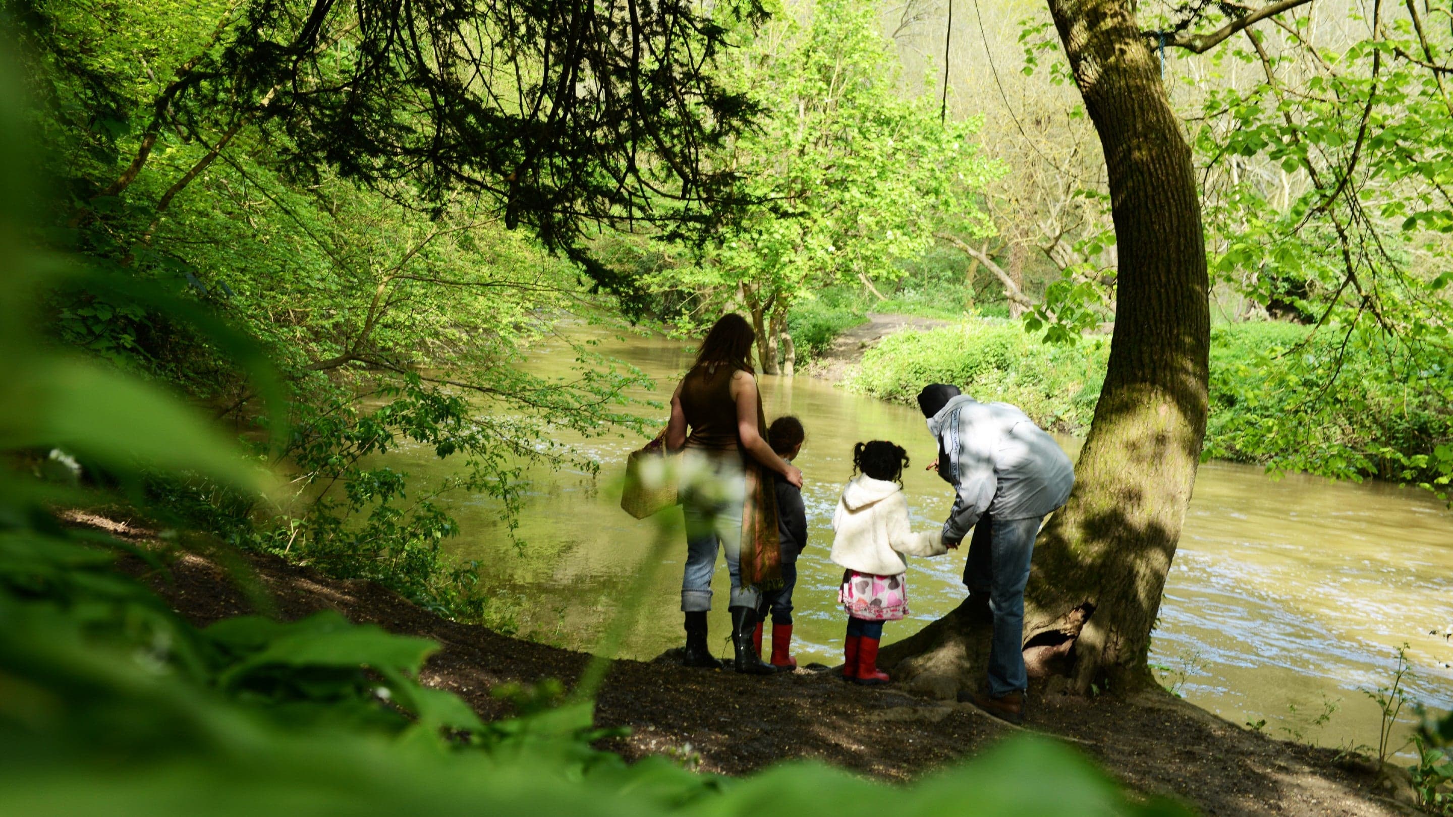 Boxhill Viewpoint - Image 5