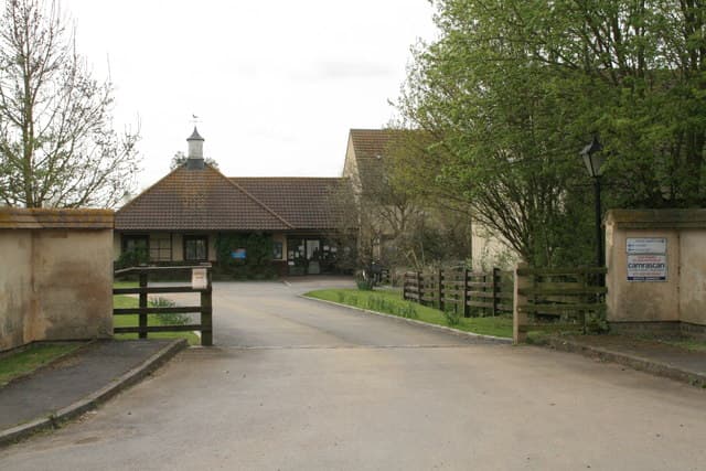 Tiggywinkles Visitor Centre - Image 2