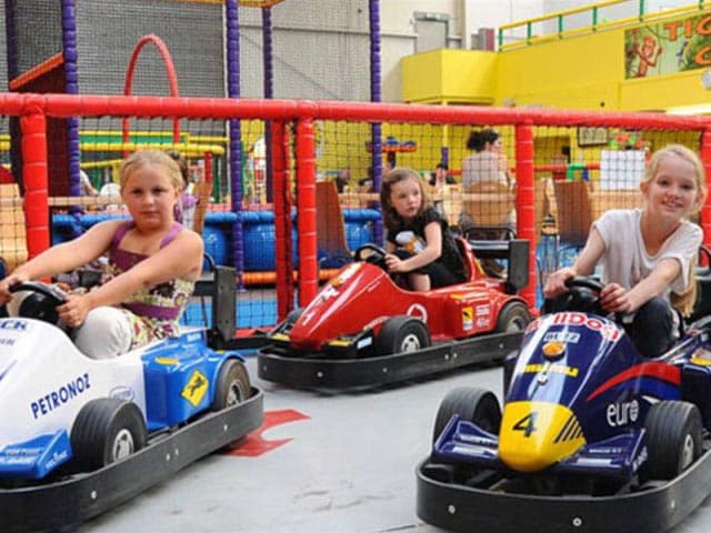 Tigers Indoor Play - Image 2