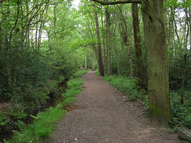 Fleet Pond Nature Reserve - Main view