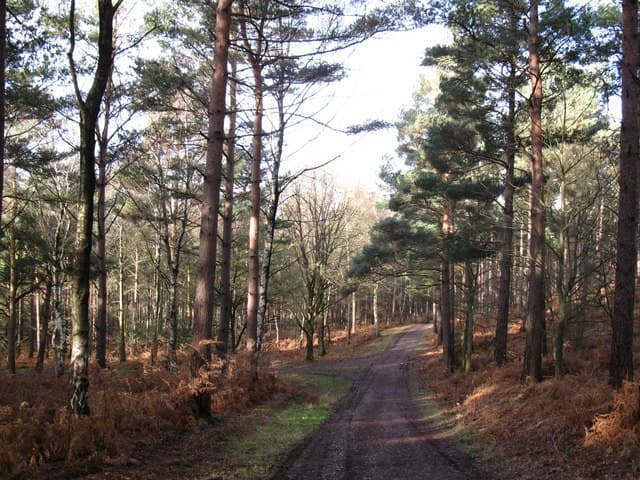 Fleet Pond Nature Reserve - Image 2