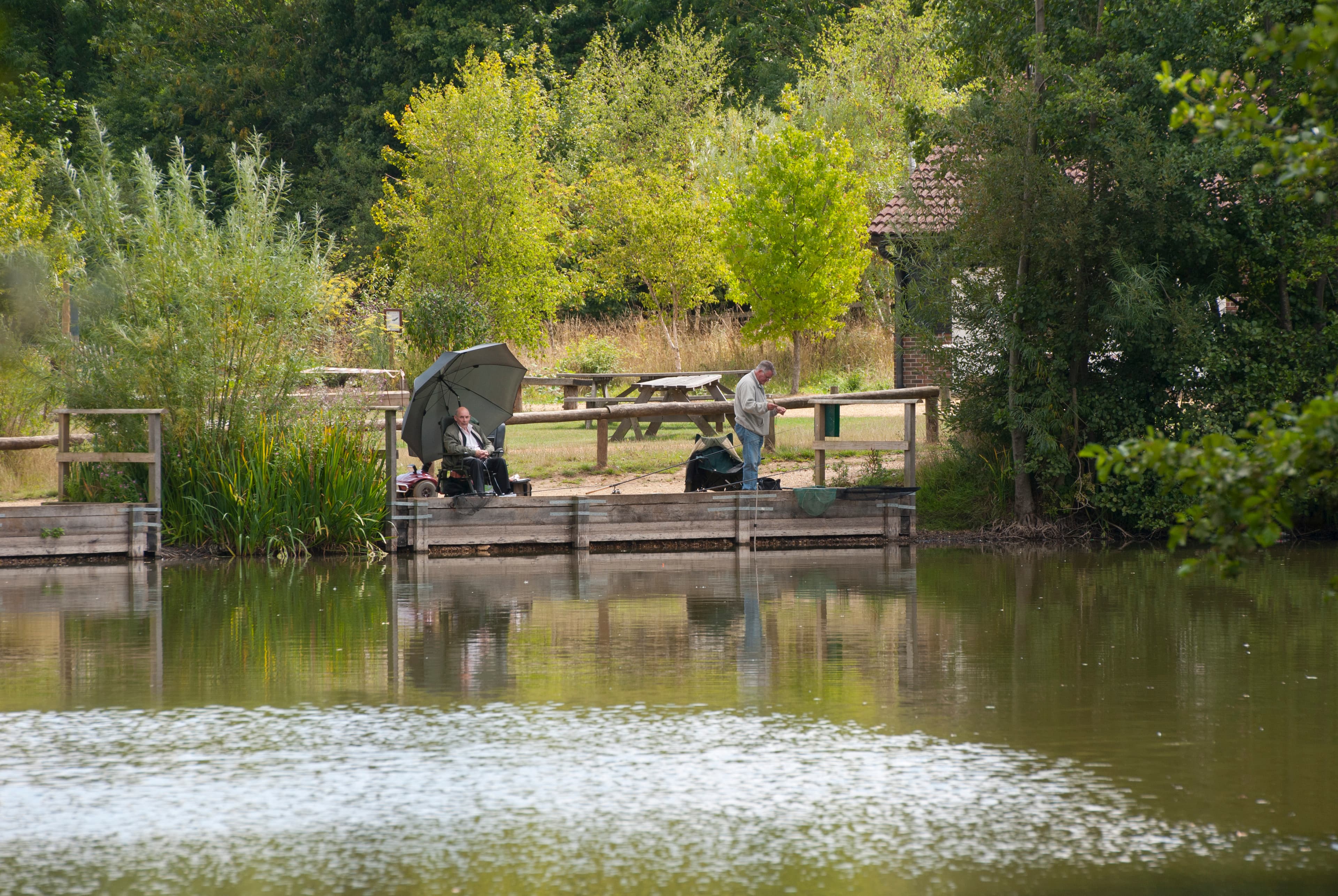 Lakeside Country Park - Main view