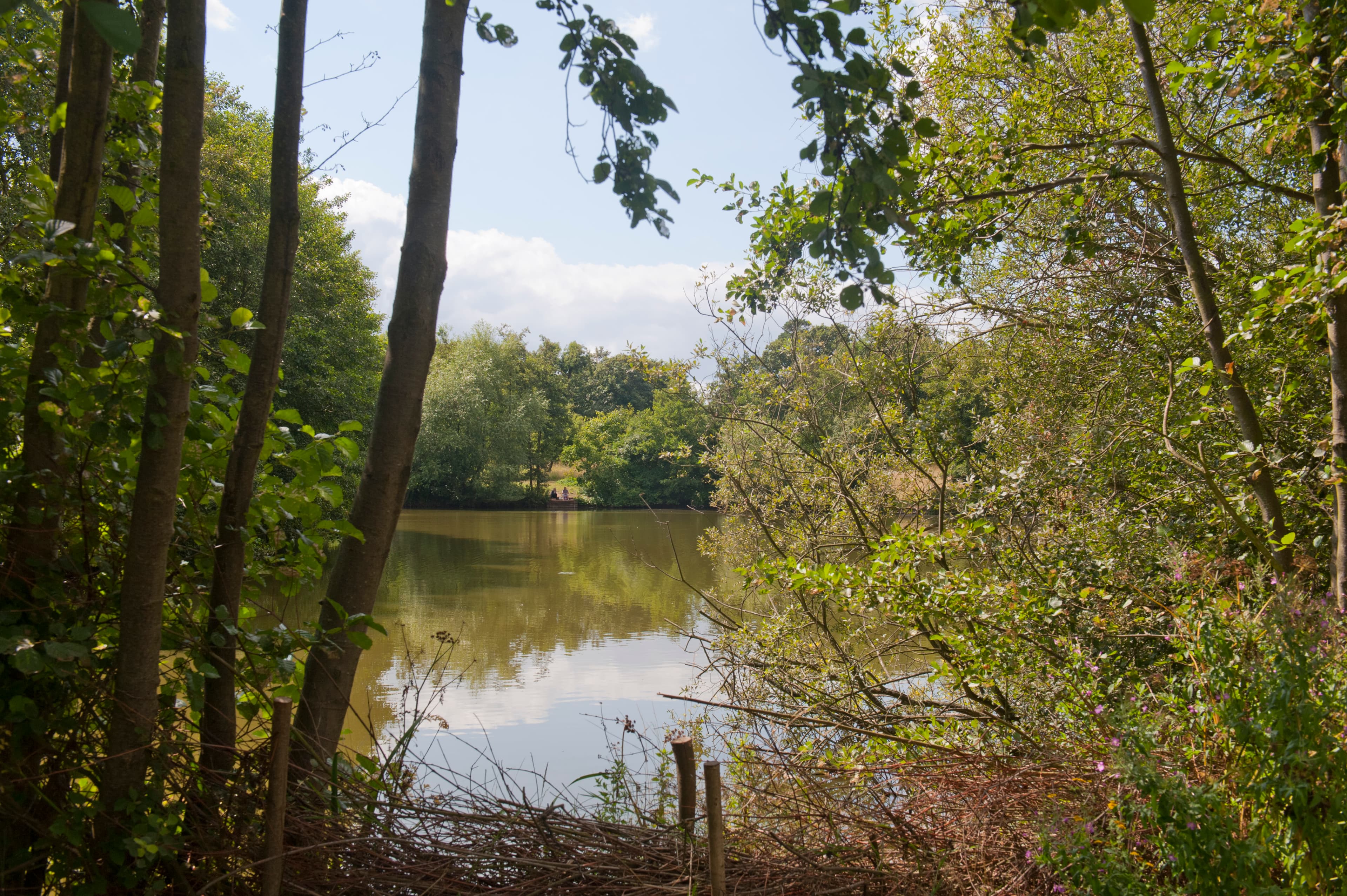Lakeside Country Park - Image 3