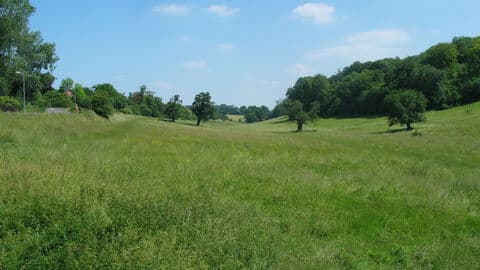 Long Deans - Image 2