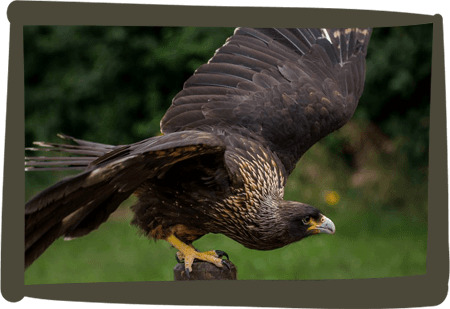 Millets Wildside - Main view