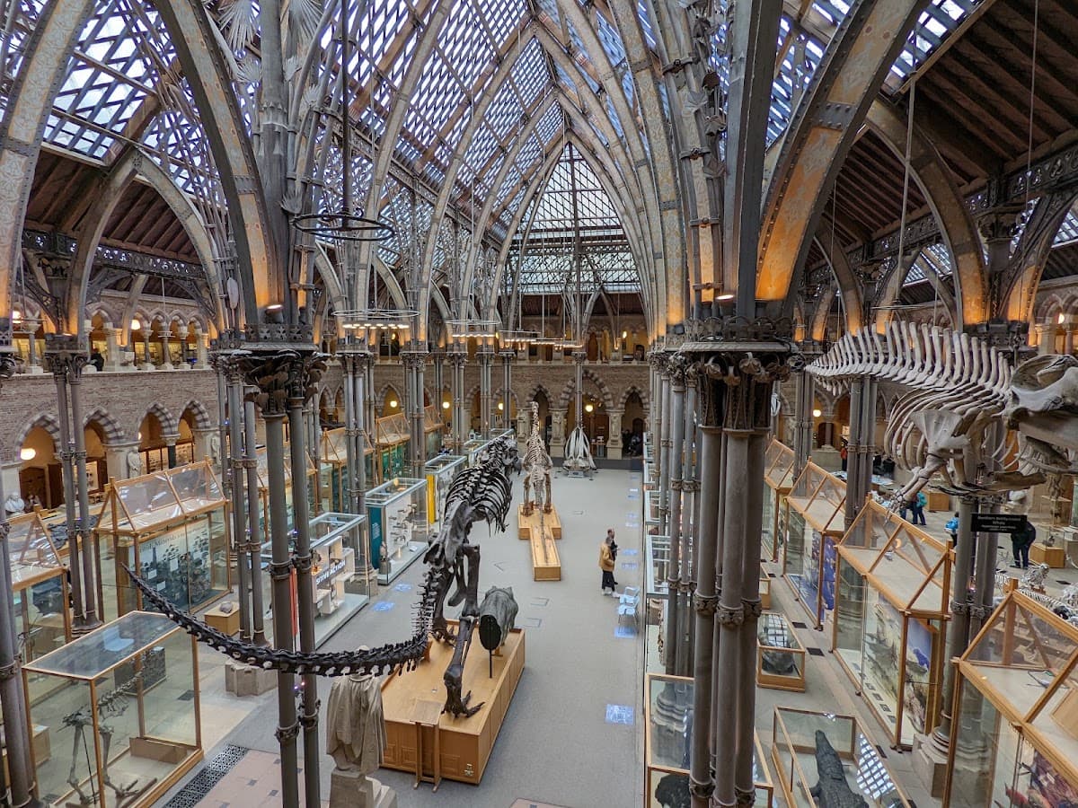 Oxford University Museum of Natural History - Main view