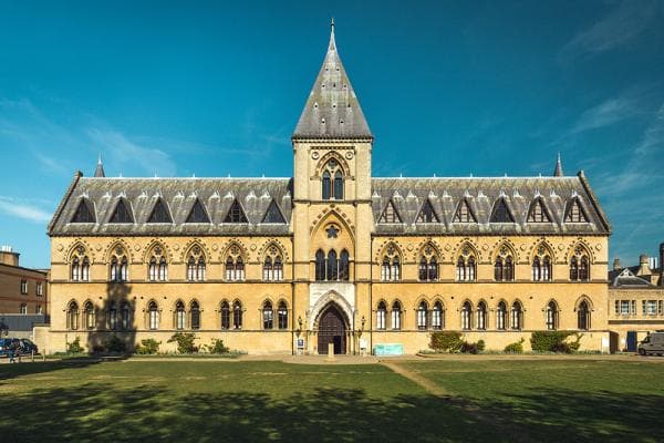 Oxford University Museum of Natural History - Image 2