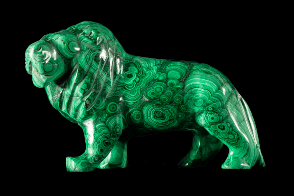 Oxford University Museum of Natural History - Image 3