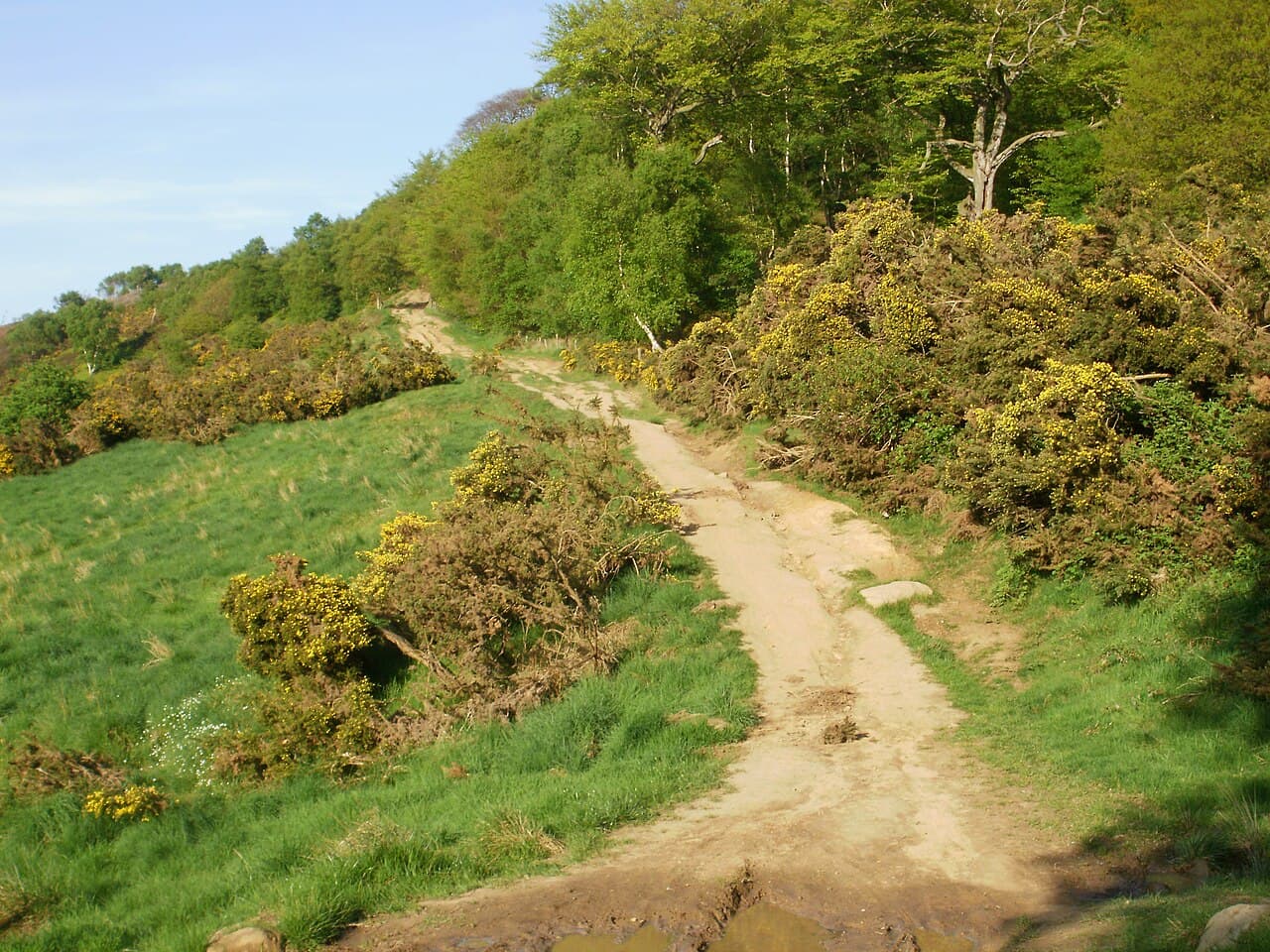 Flatts Lane Country Park - Image 3