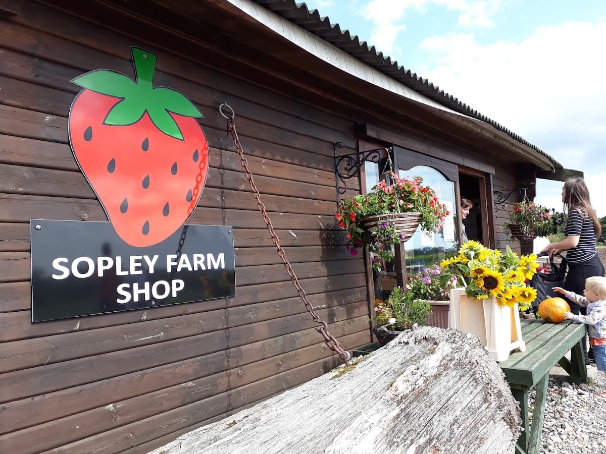 Sopley Farm Shop & Bakery - Dan Tanner's - Image 1