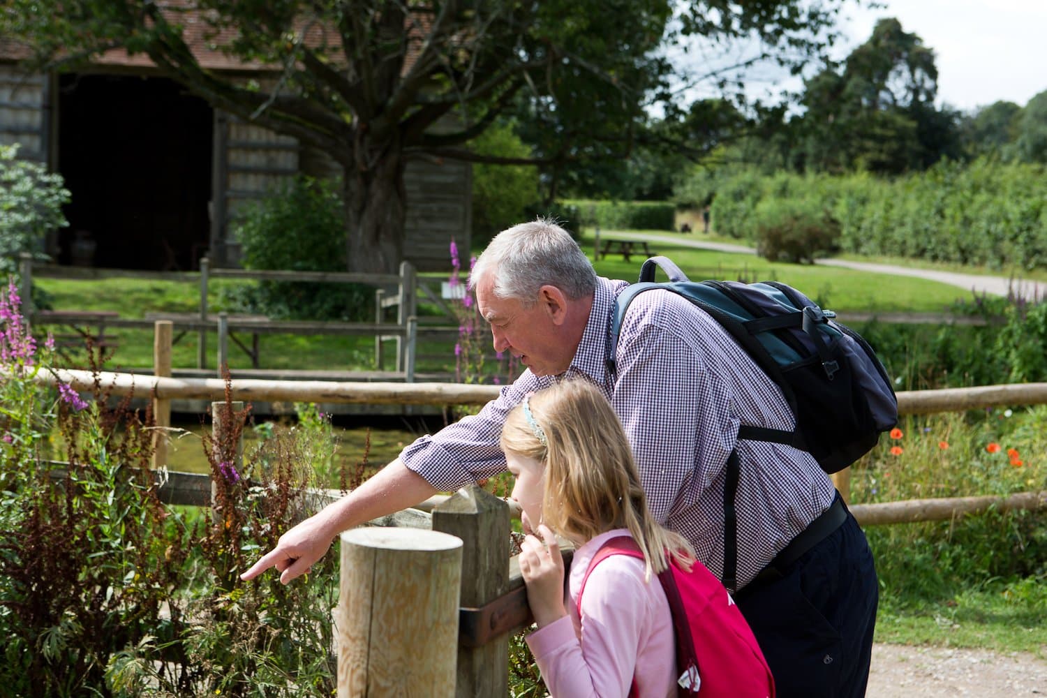 Chiltern Open Air Museum - Image 5