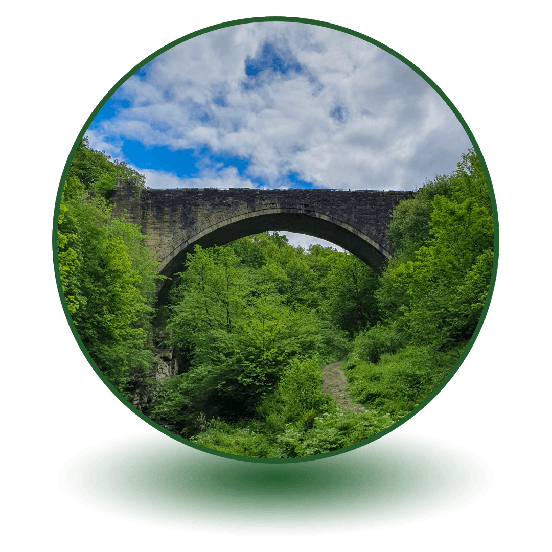 Tanfield Railway - Image 2