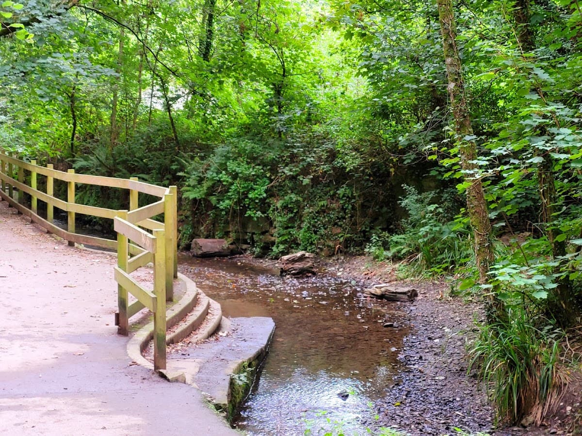 Ham Woods Local Nature Reserve - Main view