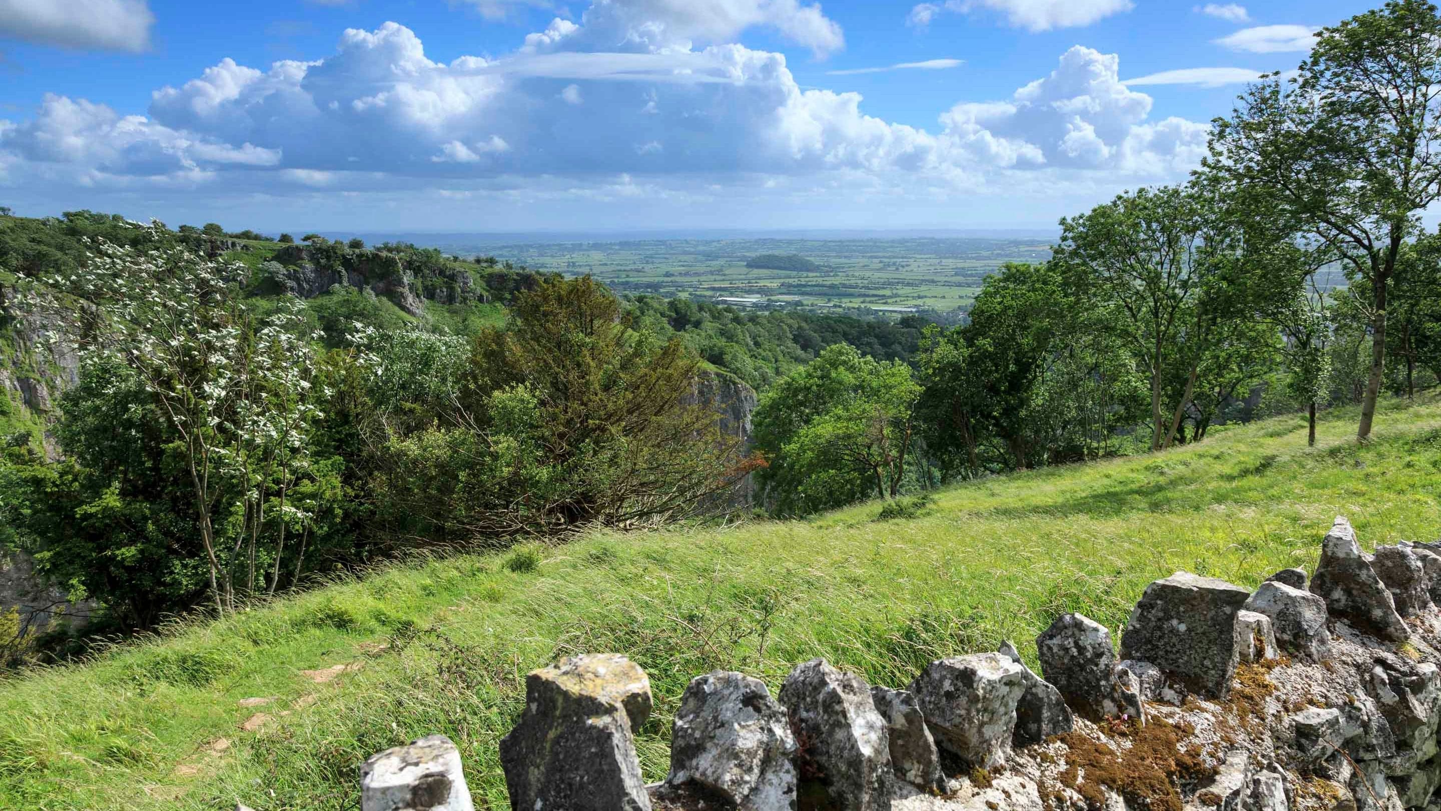 National Trust - Ebbor Gorge National Nature Reserve - Image 2