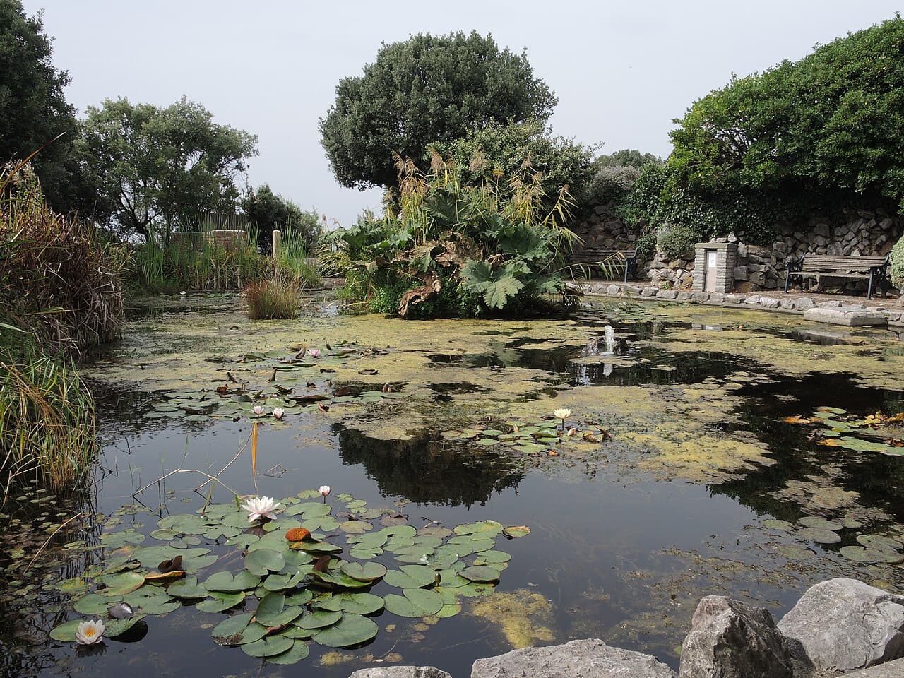 Prince Consort Gardens - Main view